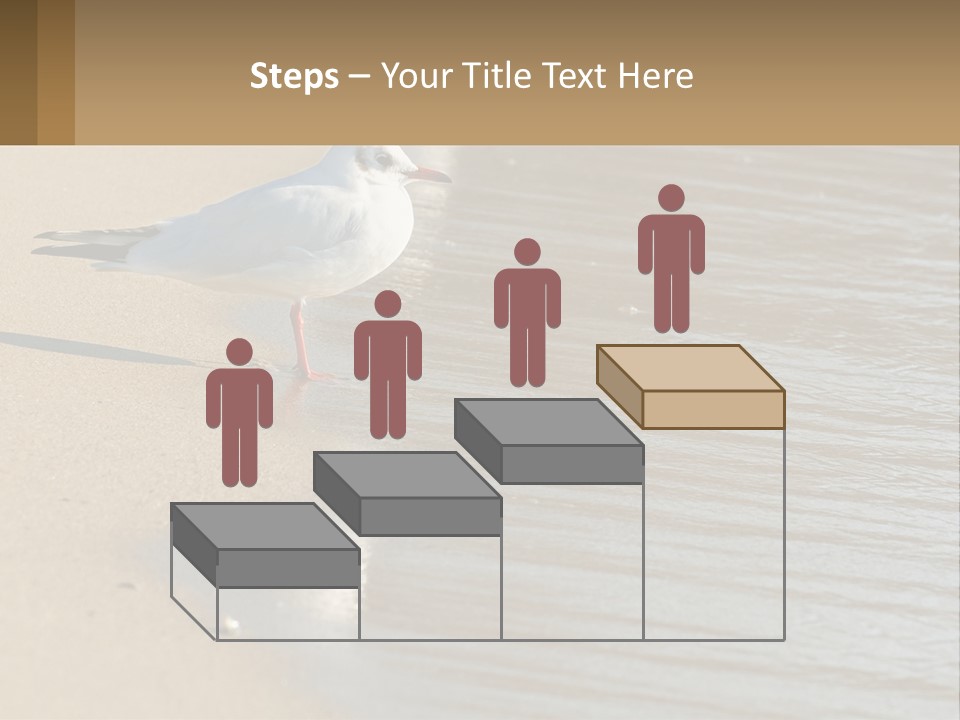 A Seagull Standing On The Sand Of A Beach PowerPoint Template