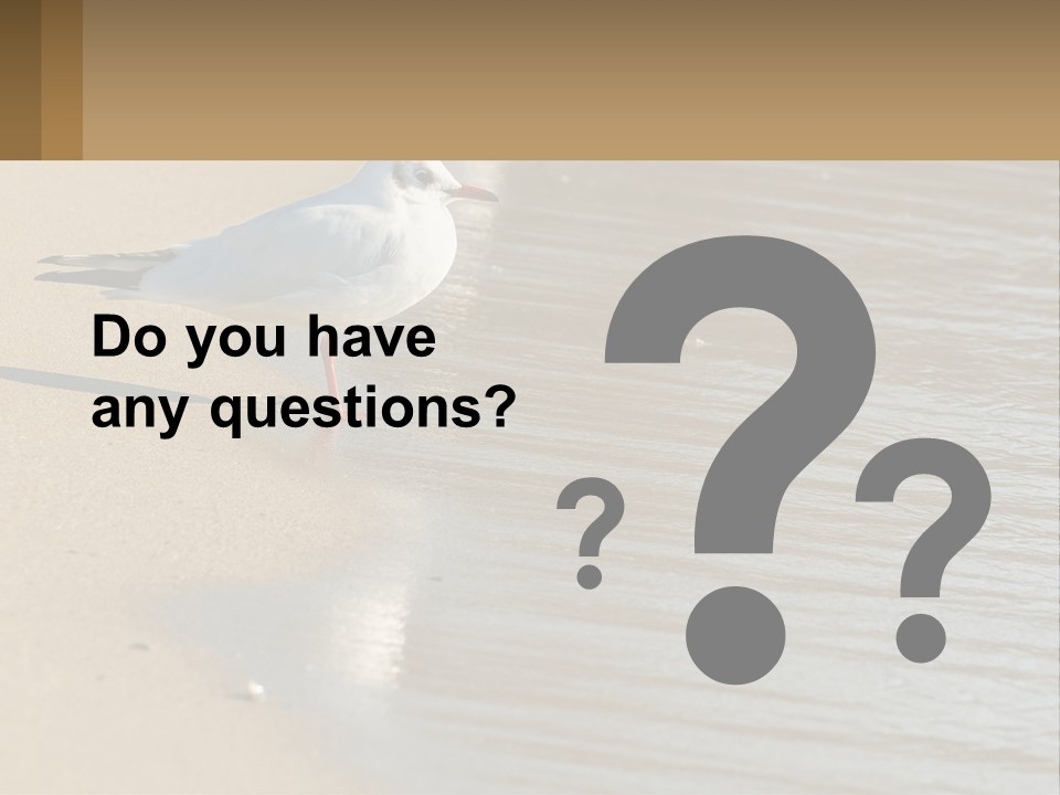 A Seagull Standing On The Sand Of A Beach PowerPoint Template