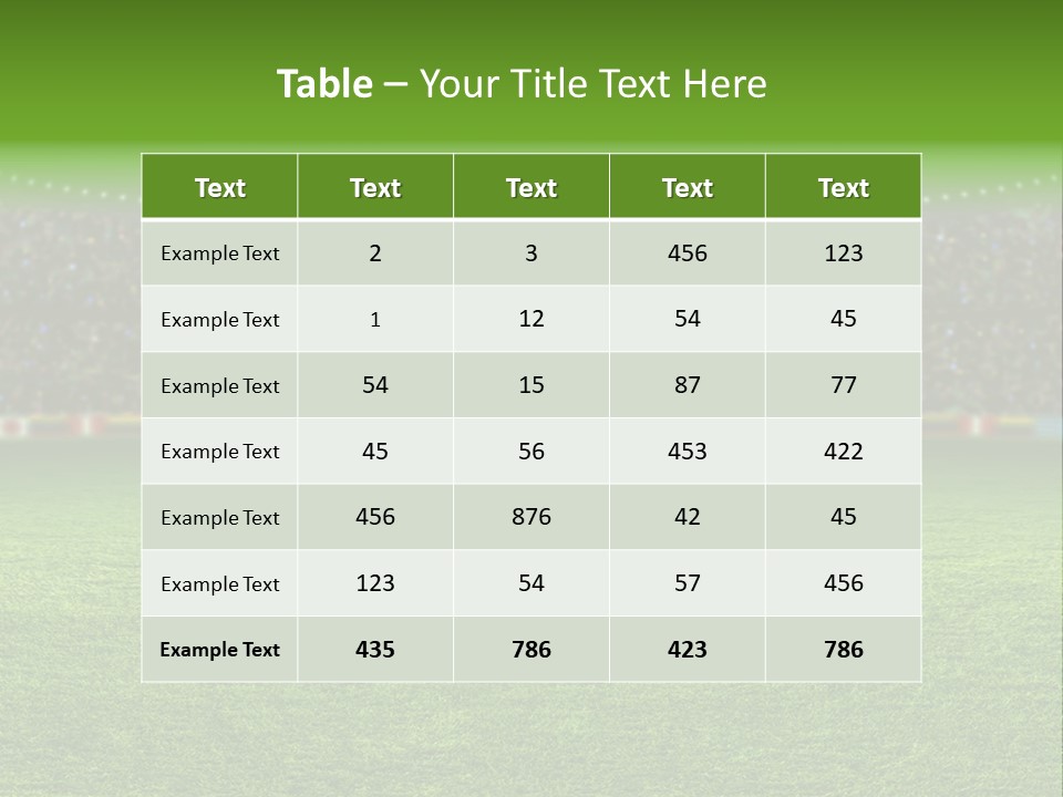 A Soccer Field With A Stadium Full Of People PowerPoint Template