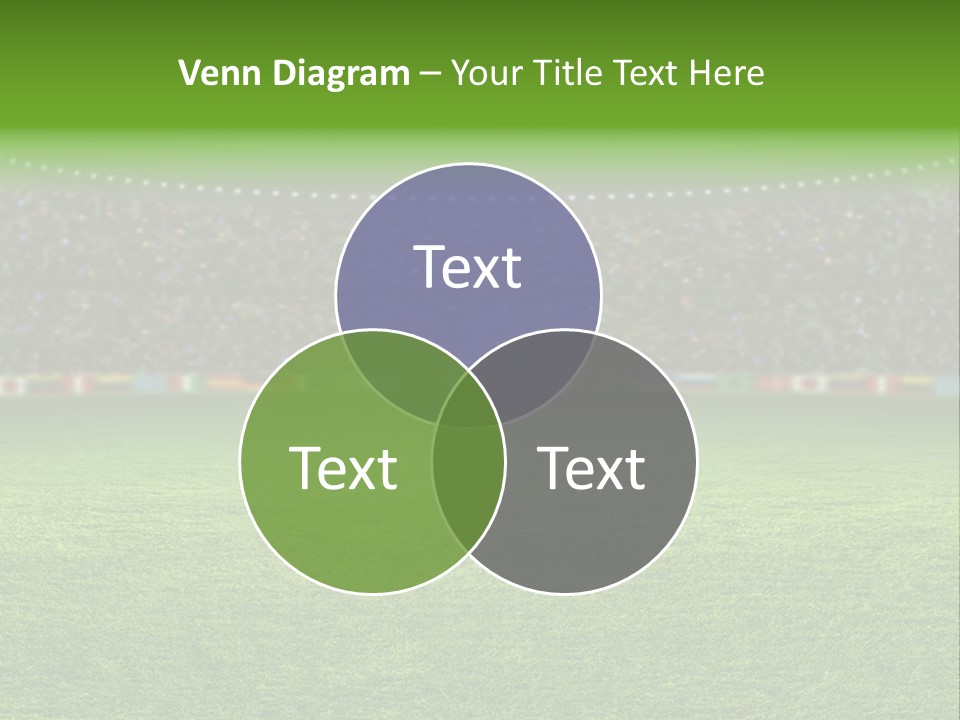 A Soccer Field With A Stadium Full Of People PowerPoint Template