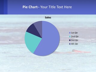 A Person Swimming In The Ocean With A Blue Background PowerPoint Template