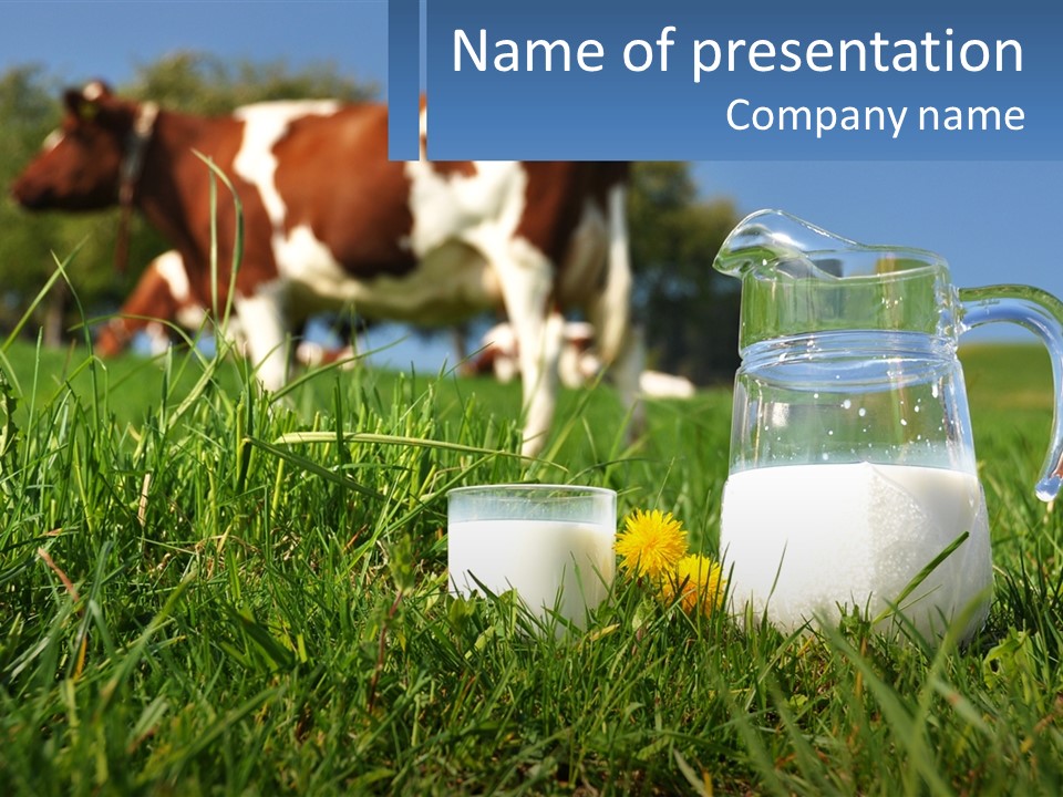 A Cow And A Pitcher Of Milk In A Field PowerPoint Template