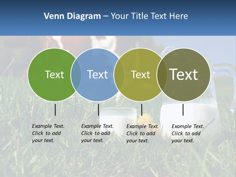 A Cow And A Pitcher Of Milk In A Field PowerPoint Template