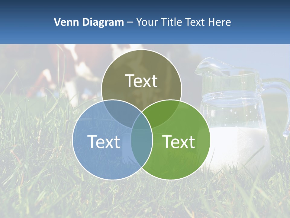 A Cow And A Pitcher Of Milk In A Field PowerPoint Template
