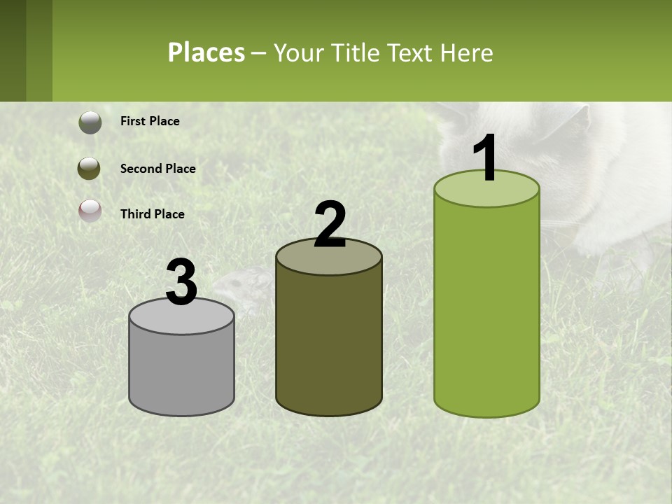 A Cat And A Mouse In The Grass PowerPoint Template