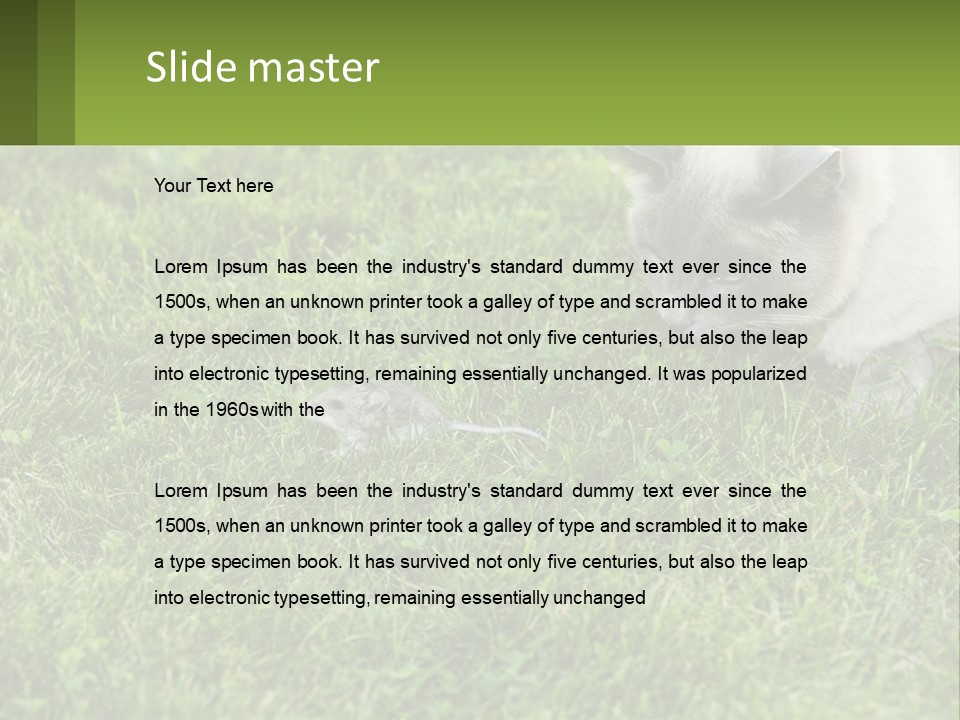 A Cat And A Mouse In The Grass PowerPoint Template