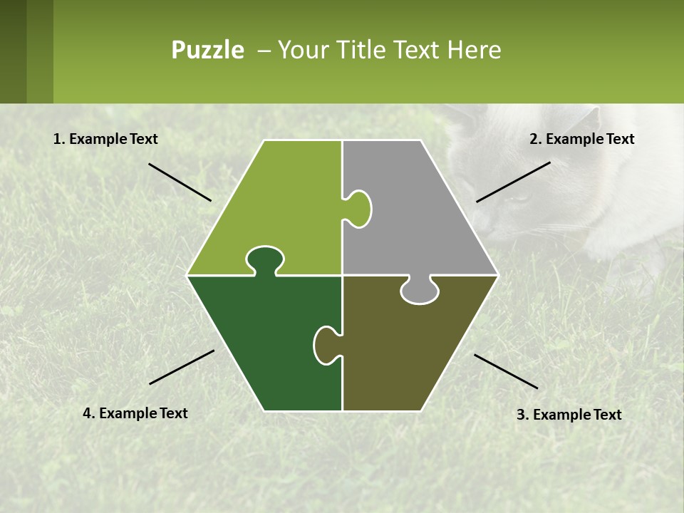 A Cat And A Mouse In The Grass PowerPoint Template