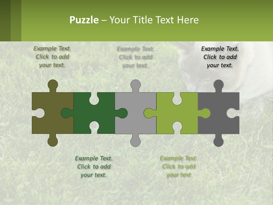 A Cat And A Mouse In The Grass PowerPoint Template