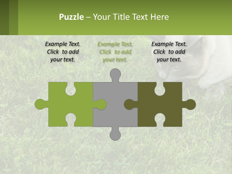 A Cat And A Mouse In The Grass PowerPoint Template