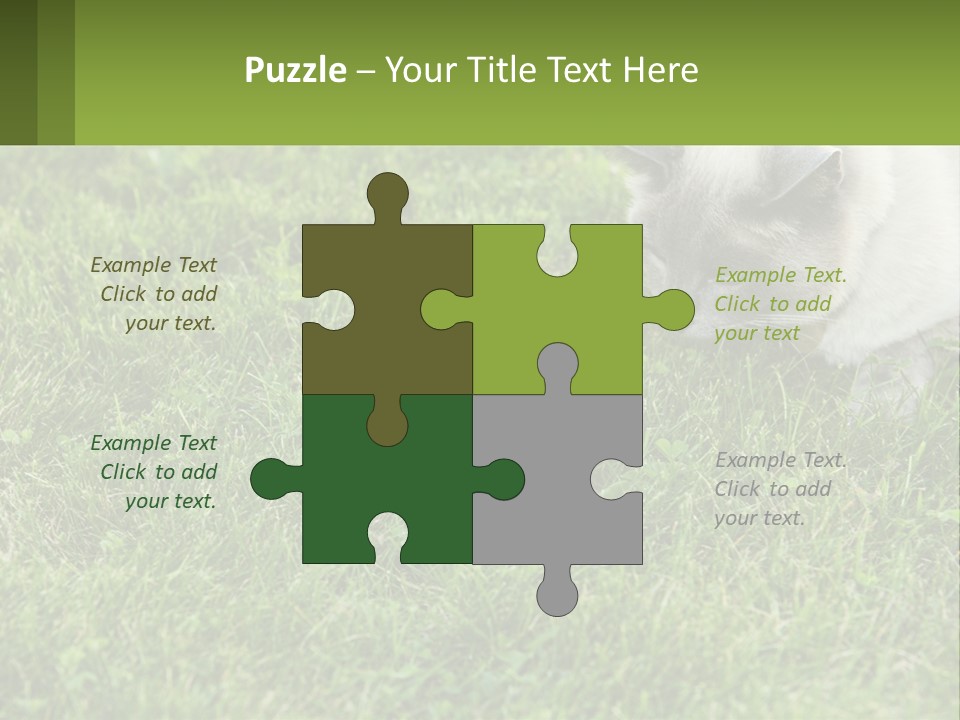 A Cat And A Mouse In The Grass PowerPoint Template