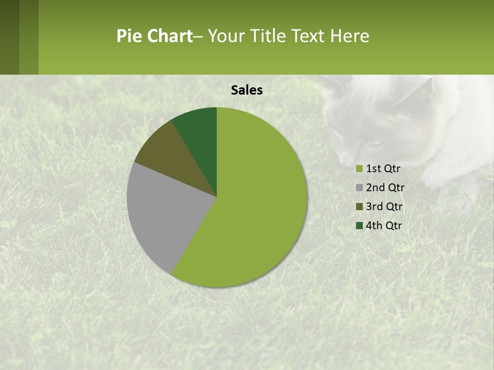 A Cat And A Mouse In The Grass PowerPoint Template