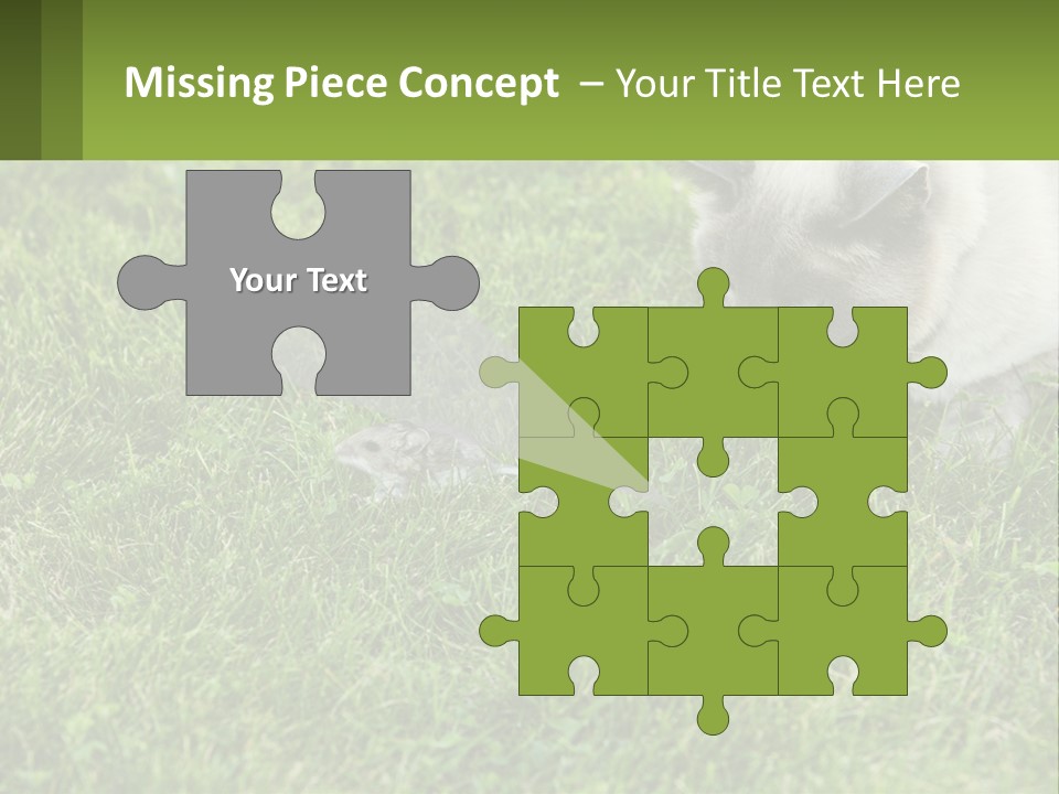 A Cat And A Mouse In The Grass PowerPoint Template