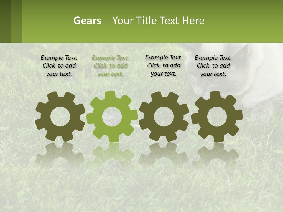 A Cat And A Mouse In The Grass PowerPoint Template