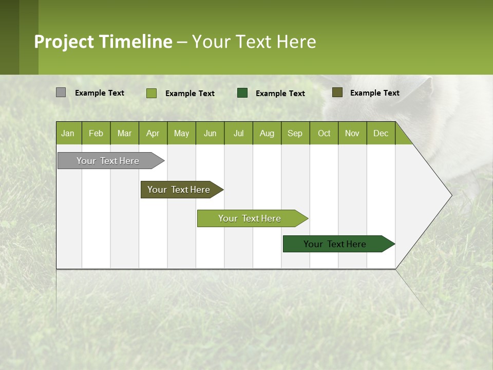 A Cat And A Mouse In The Grass PowerPoint Template