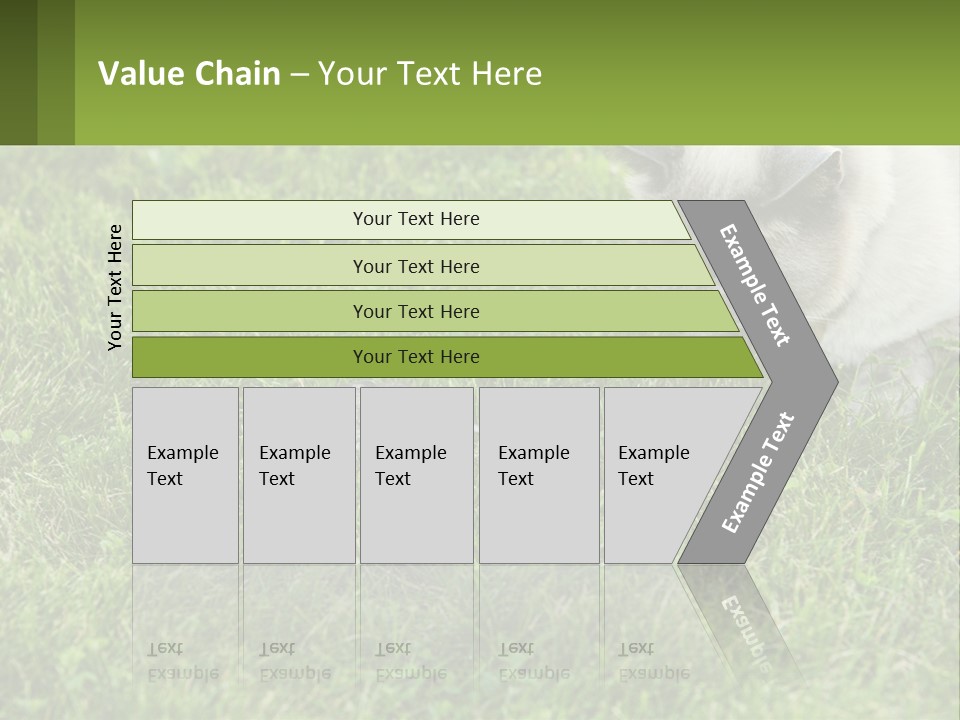 A Cat And A Mouse In The Grass PowerPoint Template