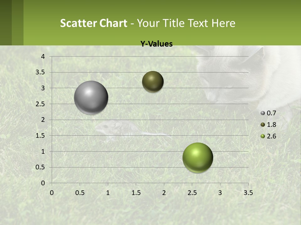 A Cat And A Mouse In The Grass PowerPoint Template