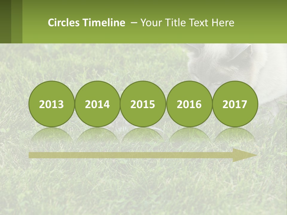 A Cat And A Mouse In The Grass PowerPoint Template