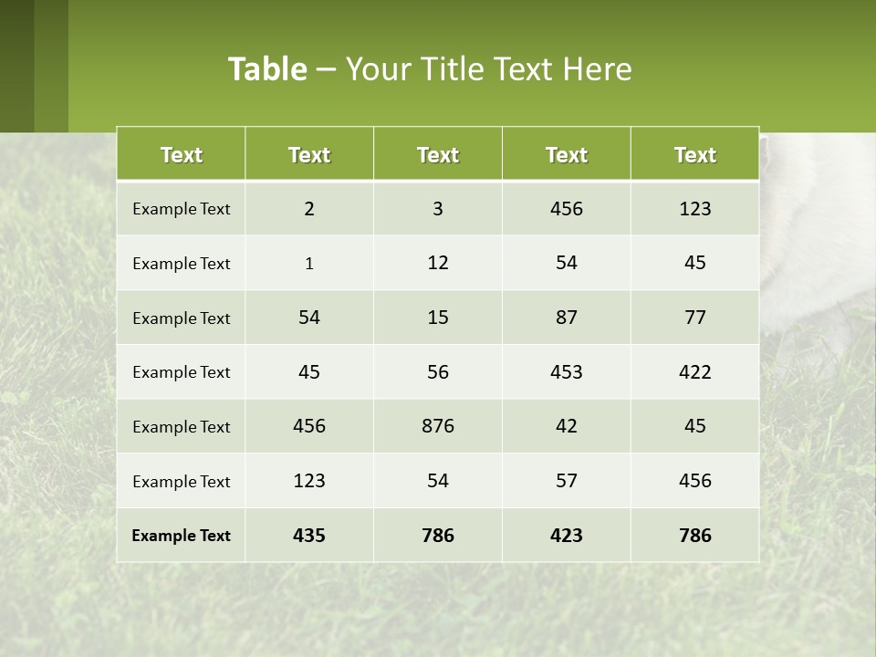 A Cat And A Mouse In The Grass PowerPoint Template