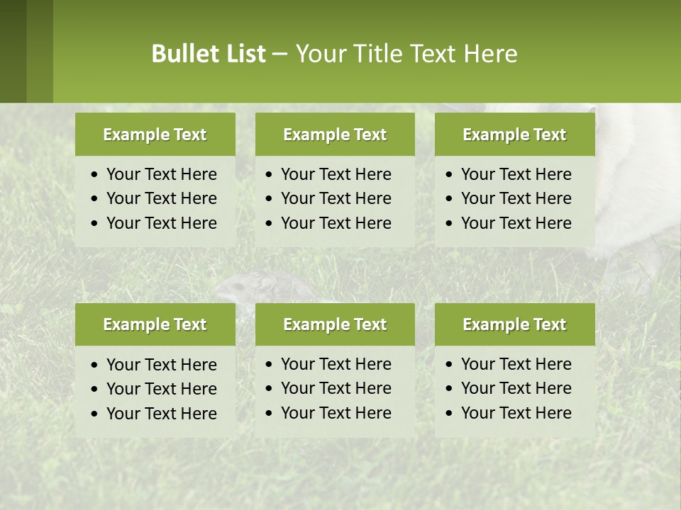 A Cat And A Mouse In The Grass PowerPoint Template