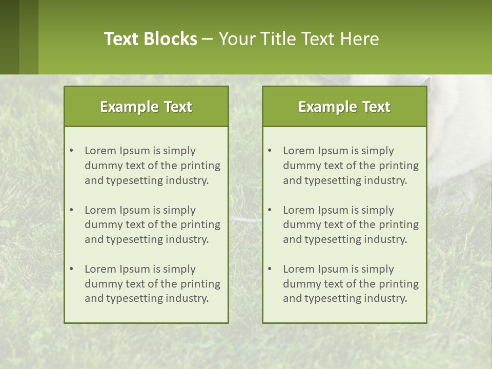 A Cat And A Mouse In The Grass PowerPoint Template