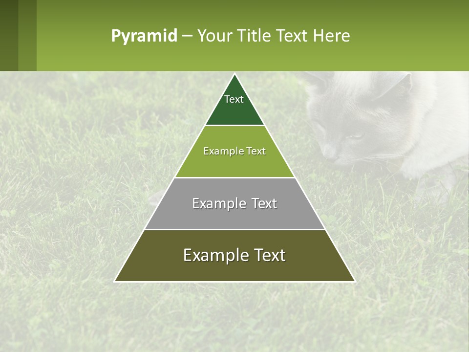 A Cat And A Mouse In The Grass PowerPoint Template