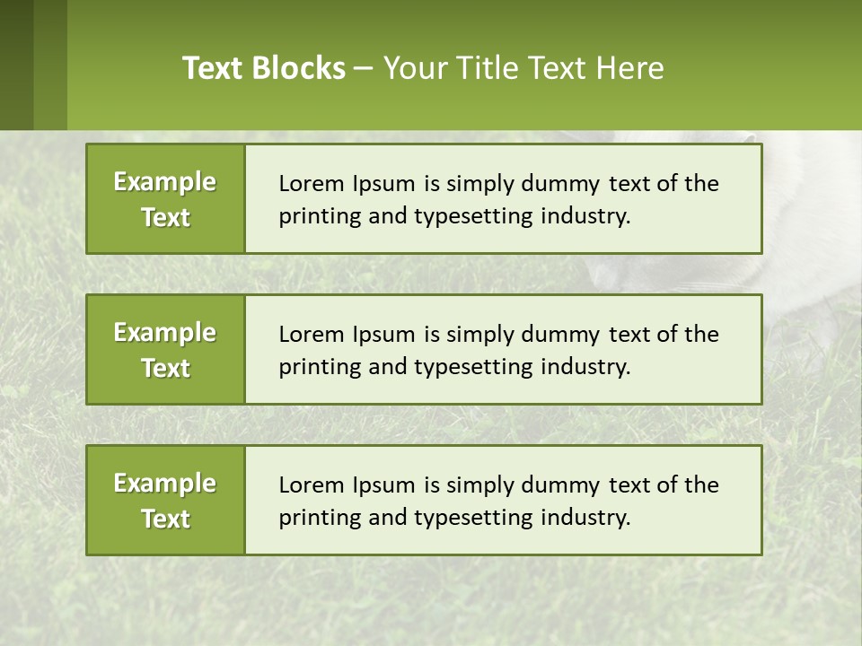 A Cat And A Mouse In The Grass PowerPoint Template