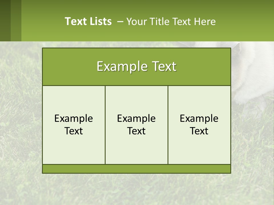 A Cat And A Mouse In The Grass PowerPoint Template