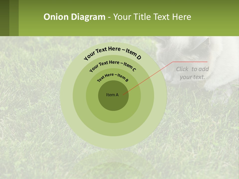 A Cat And A Mouse In The Grass PowerPoint Template