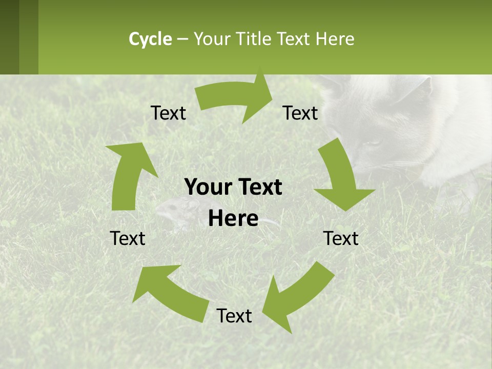 A Cat And A Mouse In The Grass PowerPoint Template