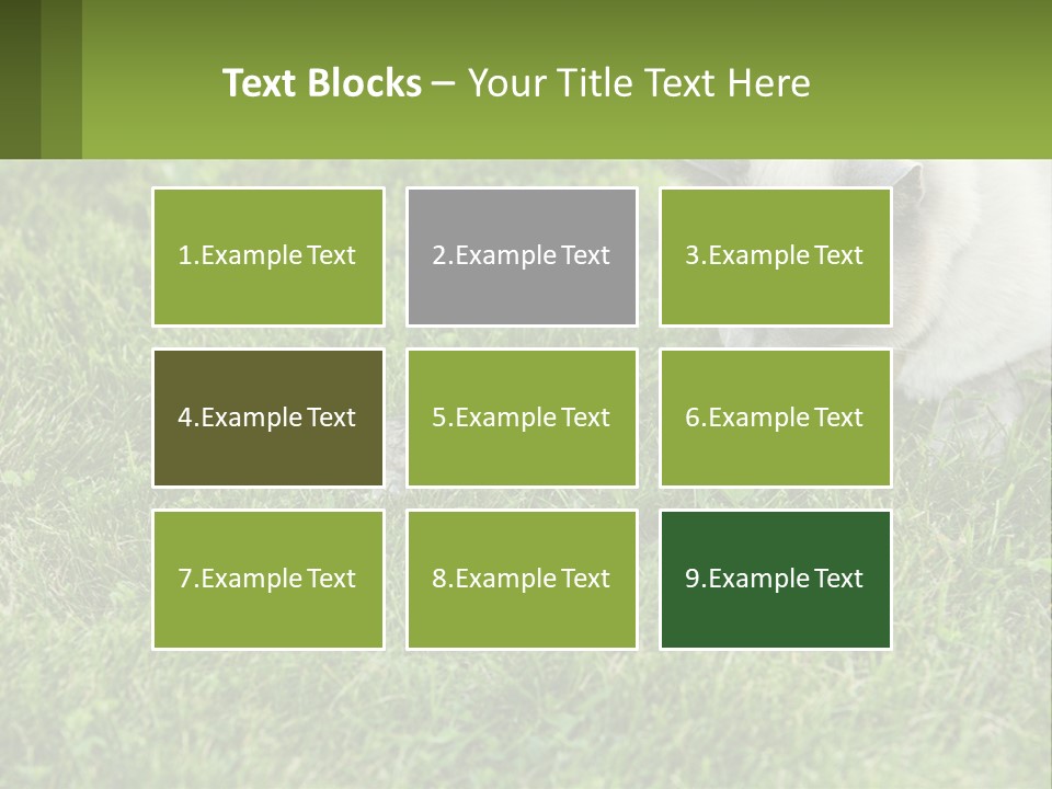 A Cat And A Mouse In The Grass PowerPoint Template