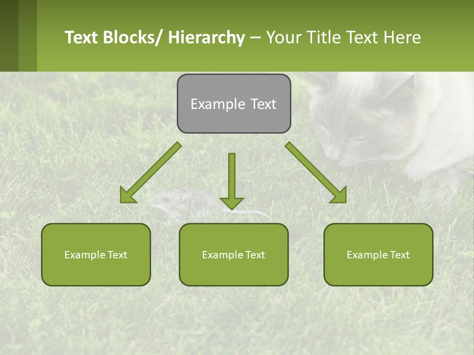 A Cat And A Mouse In The Grass PowerPoint Template