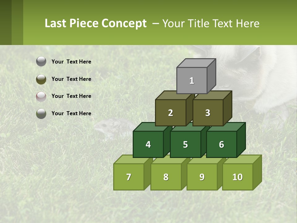 A Cat And A Mouse In The Grass PowerPoint Template