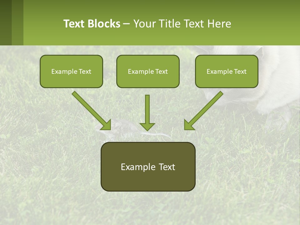A Cat And A Mouse In The Grass PowerPoint Template