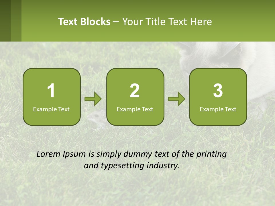 A Cat And A Mouse In The Grass PowerPoint Template