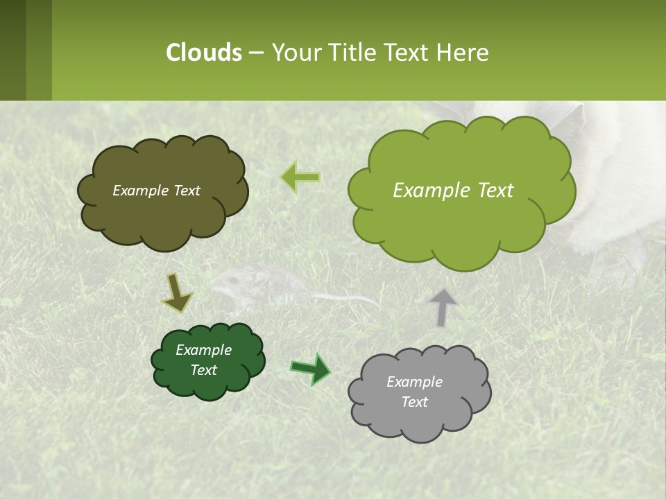 A Cat And A Mouse In The Grass PowerPoint Template