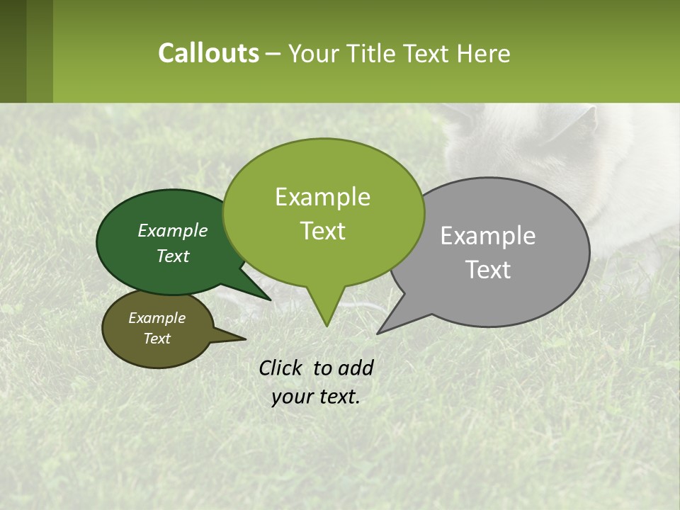 A Cat And A Mouse In The Grass PowerPoint Template