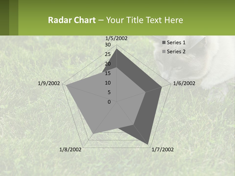 A Cat And A Mouse In The Grass PowerPoint Template