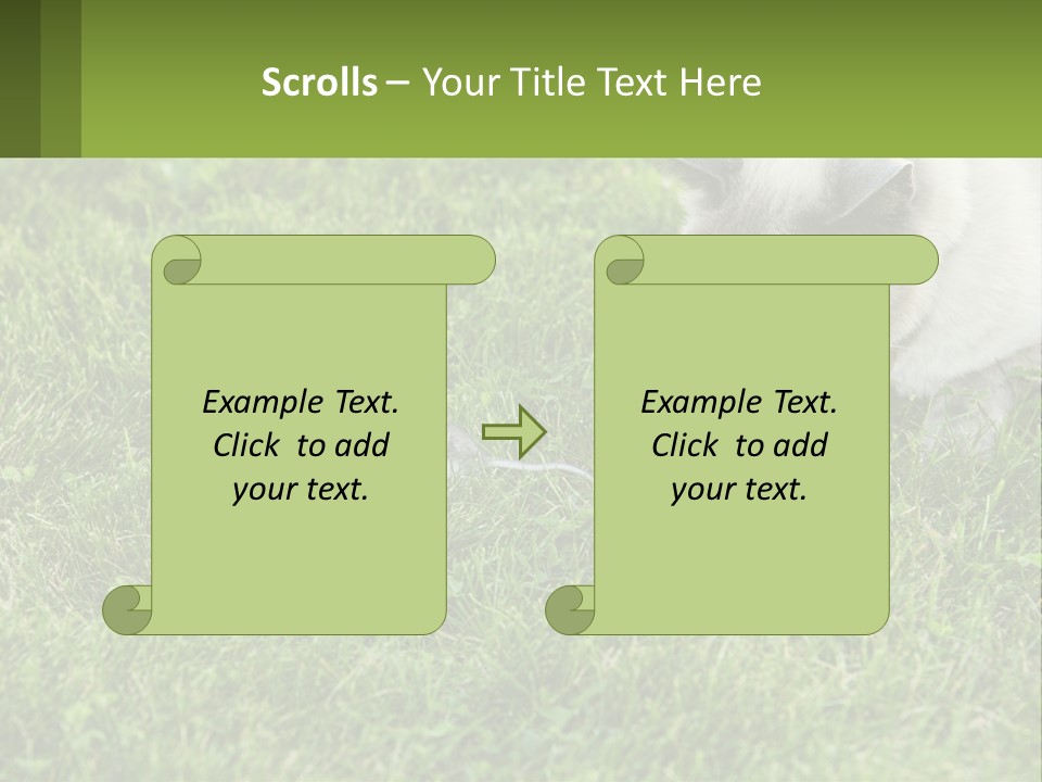 A Cat And A Mouse In The Grass PowerPoint Template
