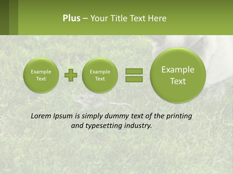 A Cat And A Mouse In The Grass PowerPoint Template