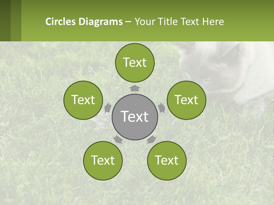 A Cat And A Mouse In The Grass PowerPoint Template