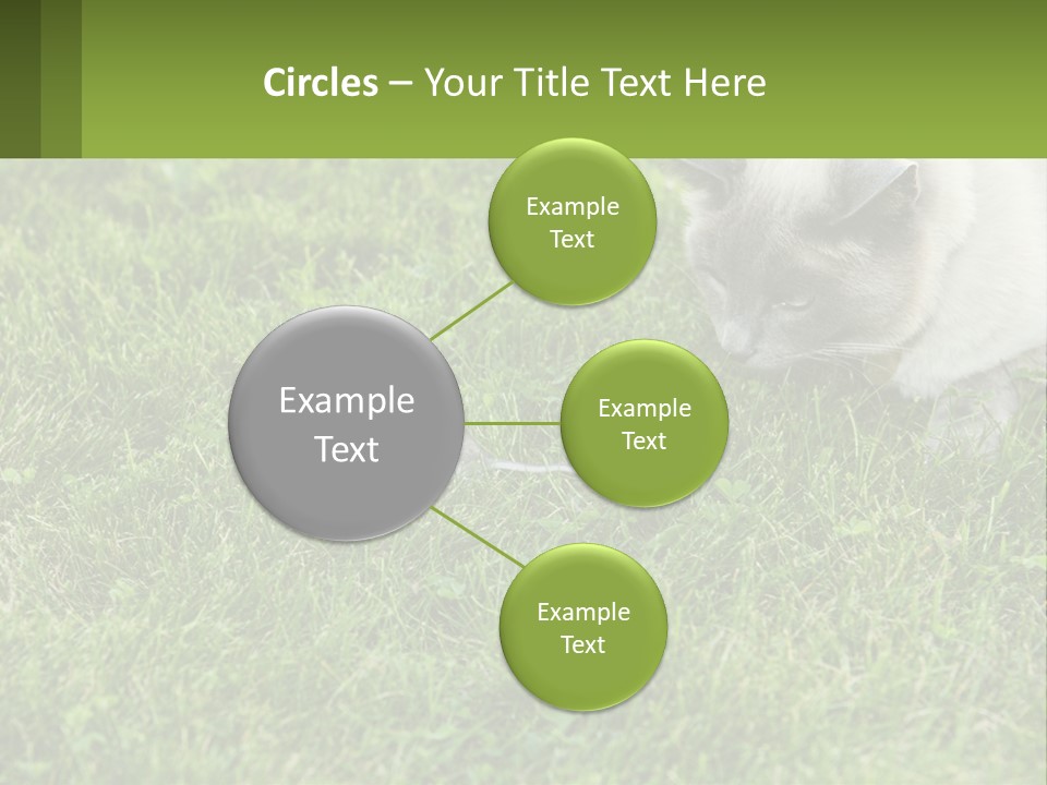 A Cat And A Mouse In The Grass PowerPoint Template