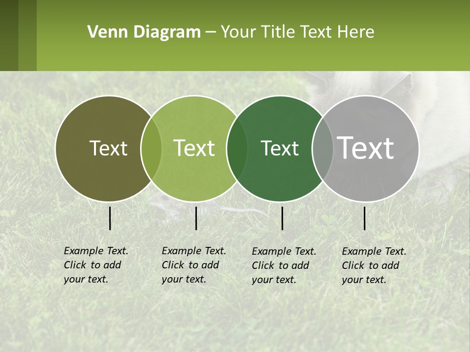 A Cat And A Mouse In The Grass PowerPoint Template