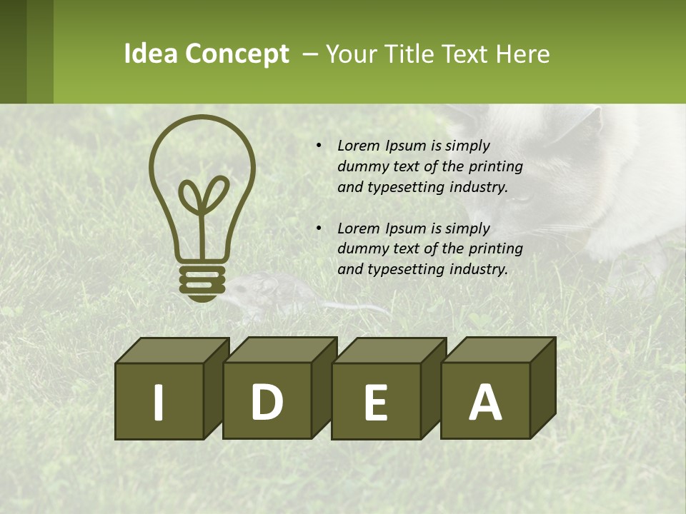 A Cat And A Mouse In The Grass PowerPoint Template