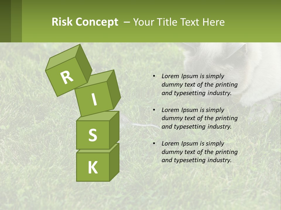 A Cat And A Mouse In The Grass PowerPoint Template