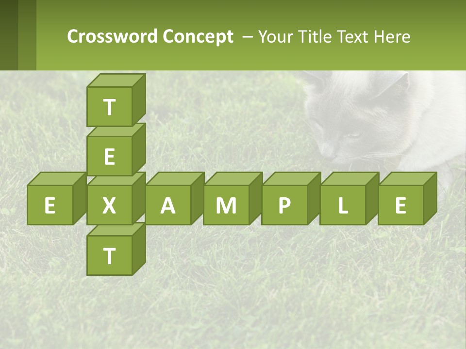 A Cat And A Mouse In The Grass PowerPoint Template