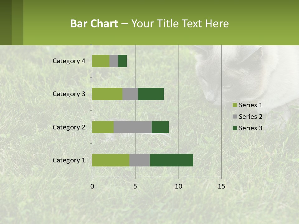 A Cat And A Mouse In The Grass PowerPoint Template