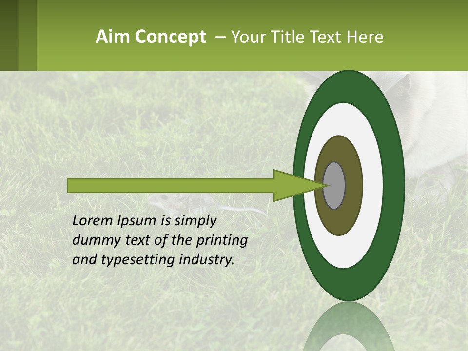 A Cat And A Mouse In The Grass PowerPoint Template