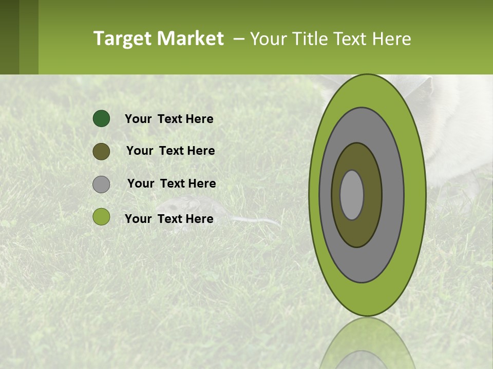 A Cat And A Mouse In The Grass PowerPoint Template