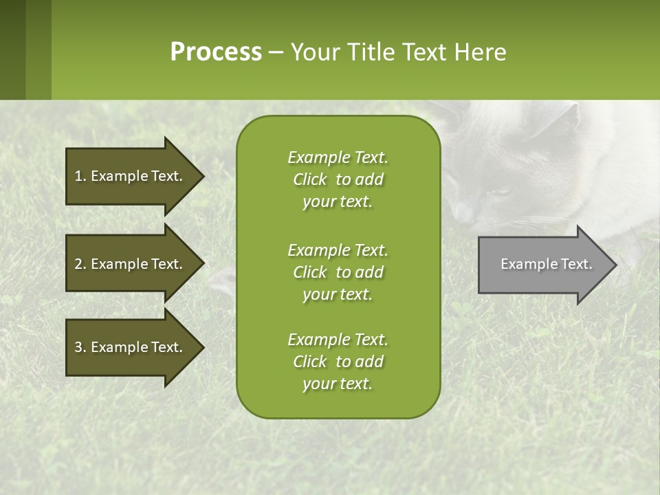 A Cat And A Mouse In The Grass PowerPoint Template