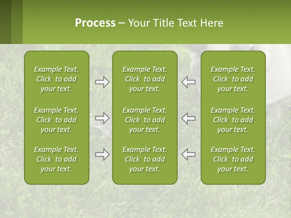 A Cat And A Mouse In The Grass PowerPoint Template